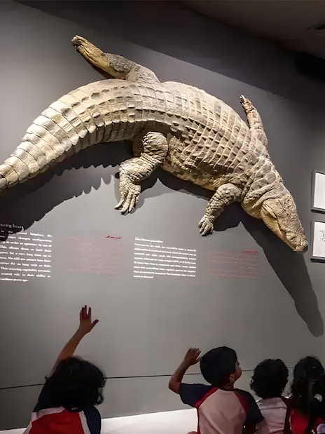 Educator leading a session with children at Dubai Crocodile Park, large crocodile display on wall.
