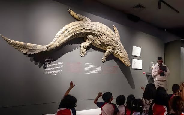 Educator leading a session with children at Dubai Crocodile Park, large crocodile display on wall.