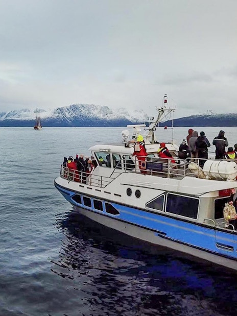 Cruise ship with tourists on a whale watching tour in icy waters with snowy mountains.