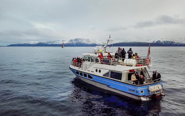 Cruise ship with tourists on a whale watching tour in icy waters with snowy mountains.