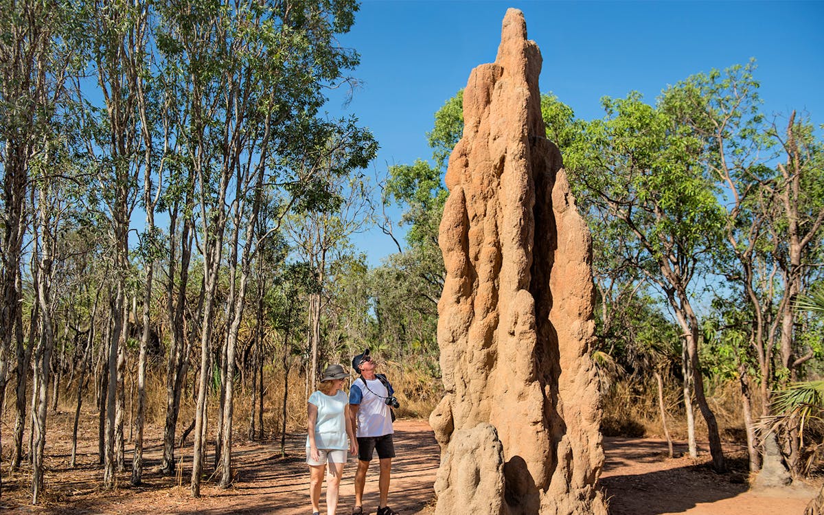 day tour to litchfield national park from darwin with lunch-5 day tour to litchfield national park from darwin with lunch-5