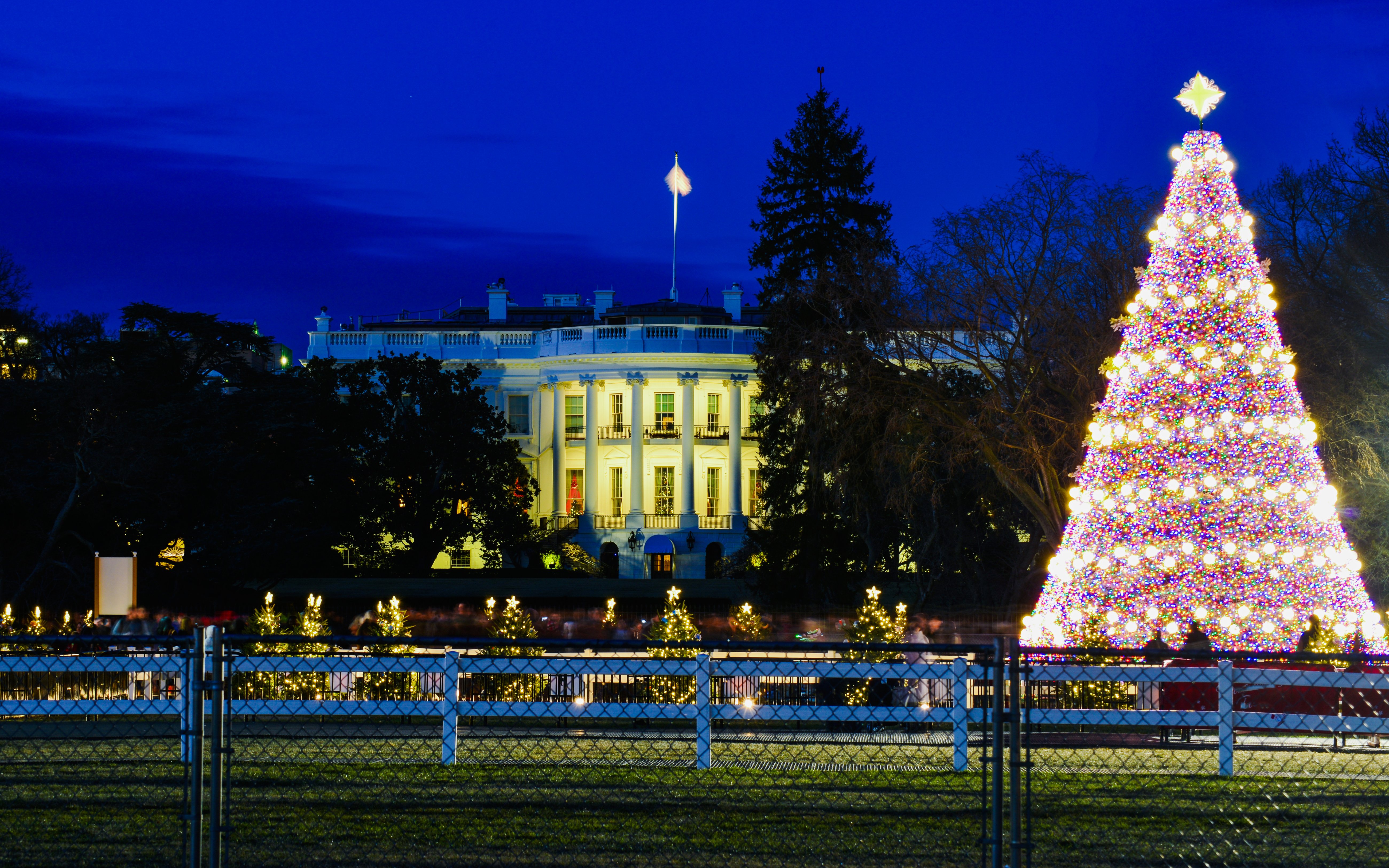 National Christmas Tree illuminated in front of the White House, Washington, D.C.