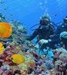 Hurghada Marina