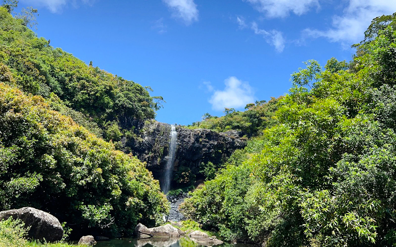 Private Tamarind Falls 7 Cascades Guided Hike and Southwest Mauritius Tour with Lunch Image 2