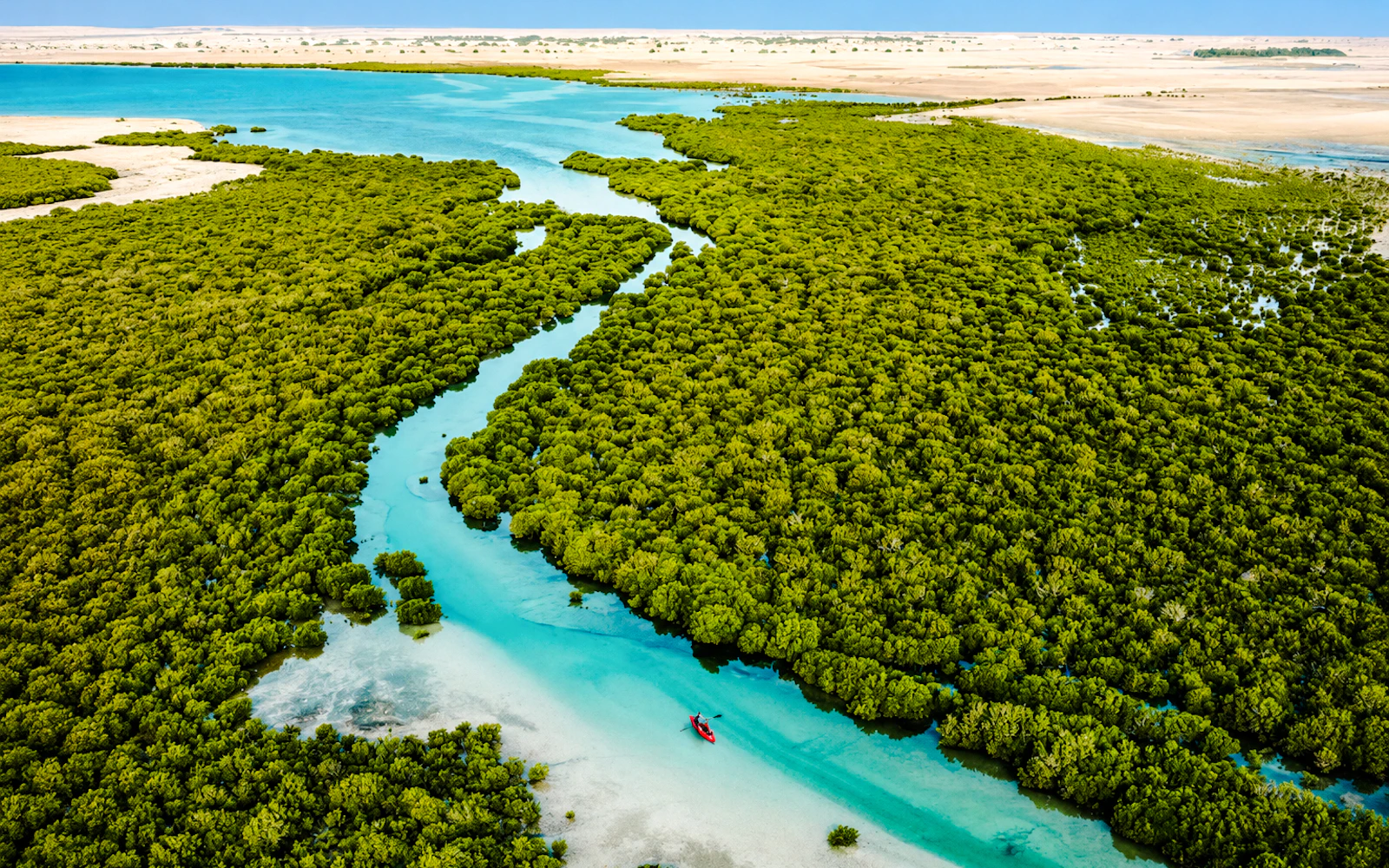 From Doha: Private North Qatar Day Trip to Al Zubarah UNESCO Site, Al Khor and Al Thakhira Mangroves Image 2