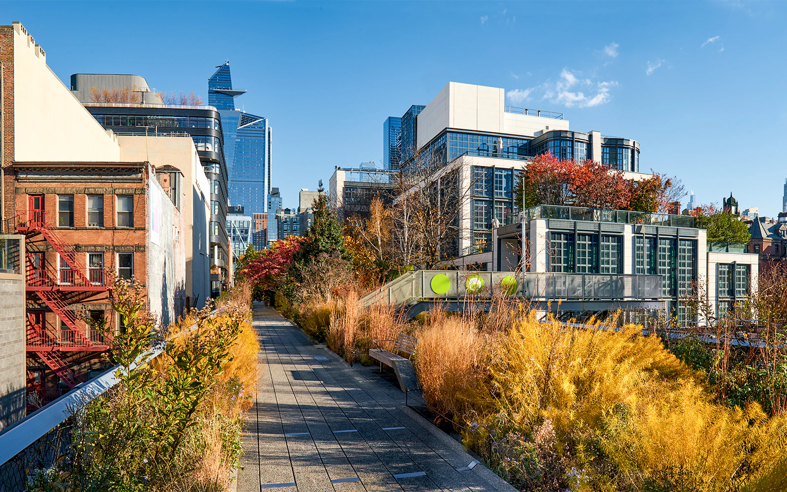 High Line in New York with skyscrapers and autumn foliage.