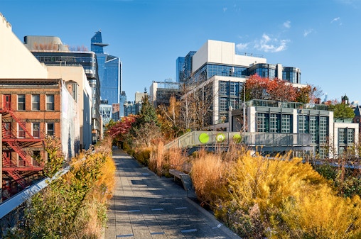 Hudson Yards Guided Walking Tour with Edge Observation Deck Tickets