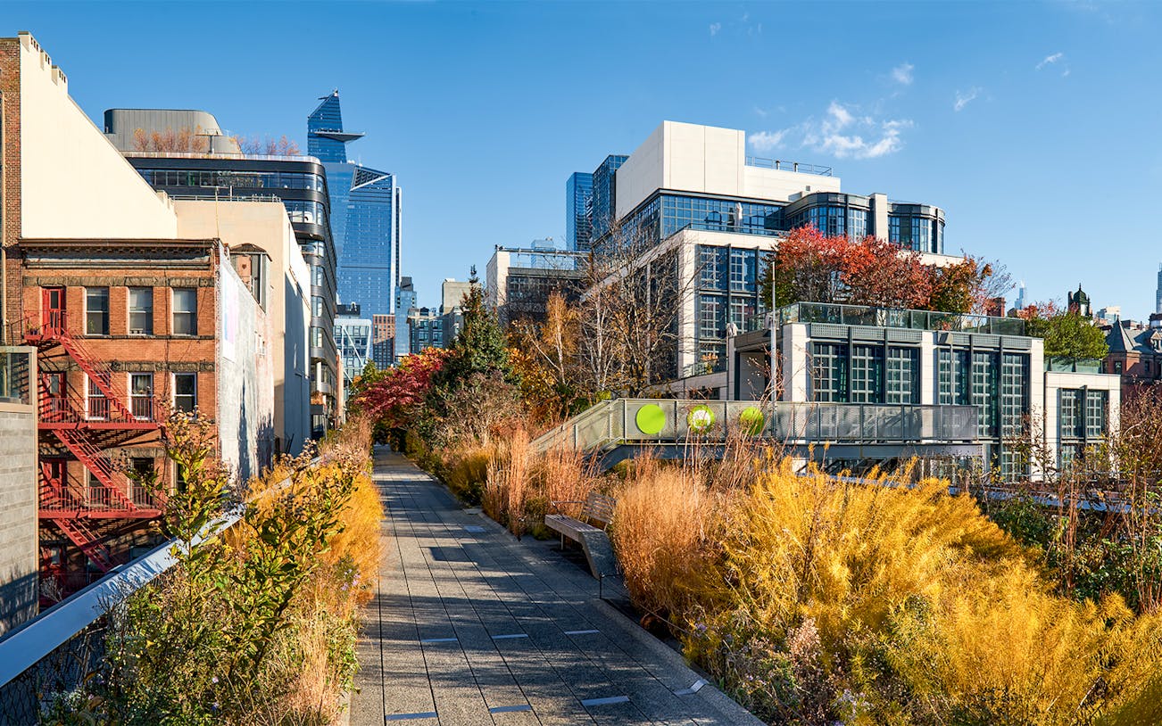 High Line in New York with skyscrapers and autumn foliage.