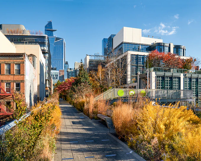Hudson Yards Guided Walking Tour with Edge Observation Deck Tickets