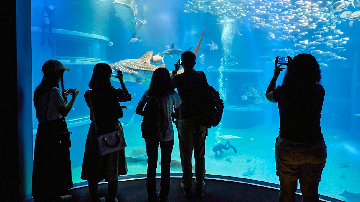 madrid zoo aquarium opening hours