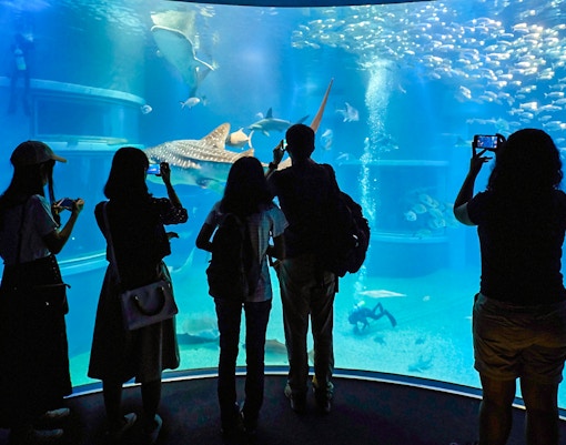Visitors observing marine life at Osaka Aquarium, including a whale shark and various fish.