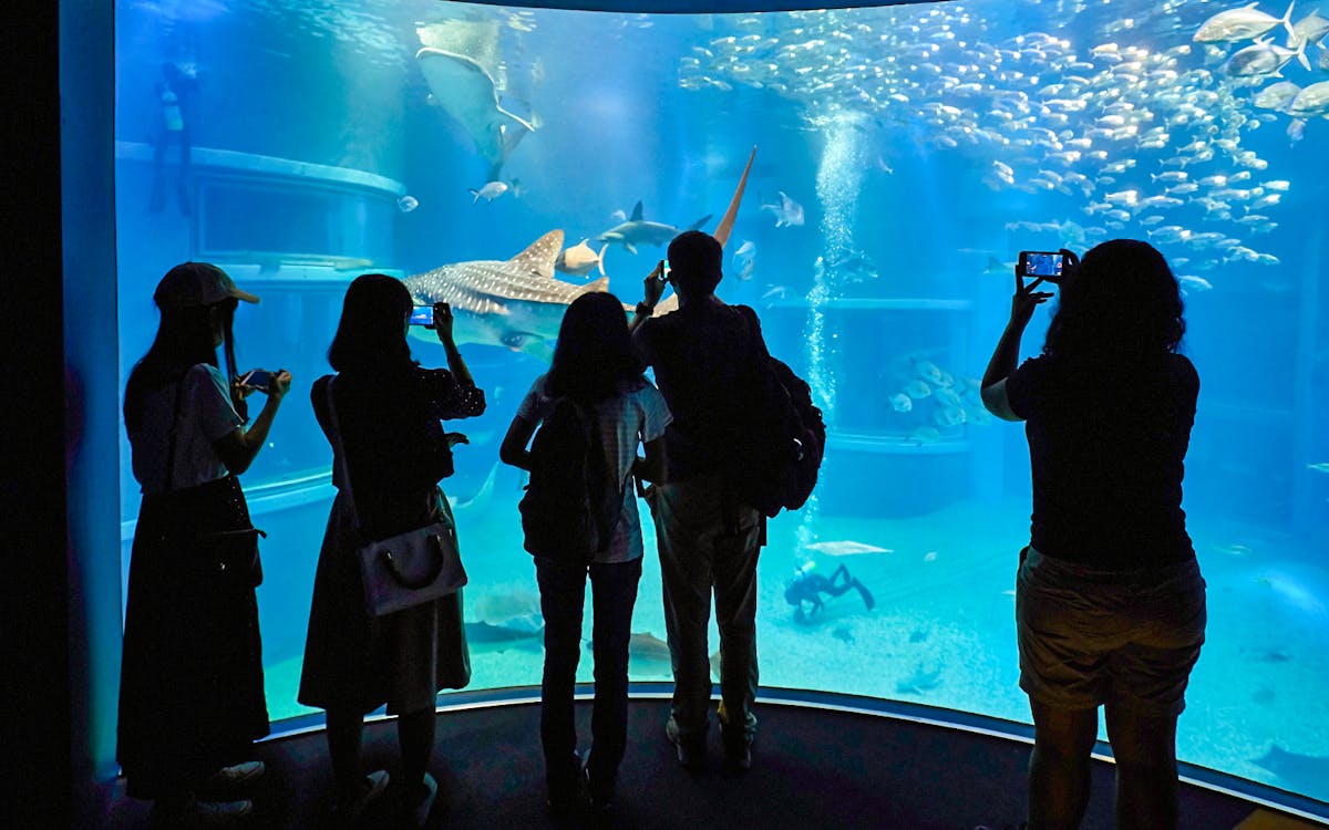 Osaka Aquarium