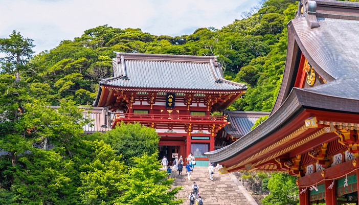 Visitors ascending steps to Tsurugaoka Hachimangu Shrine, Kamakura, surrounded by lush greenery.