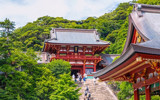 Visitors ascending steps to Tsurugaoka Hachimangu Shrine, Kamakura, surrounded by lush greenery.