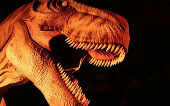 Tyrannosaurus rex exhibit at Dinos Alive in Toulouse.