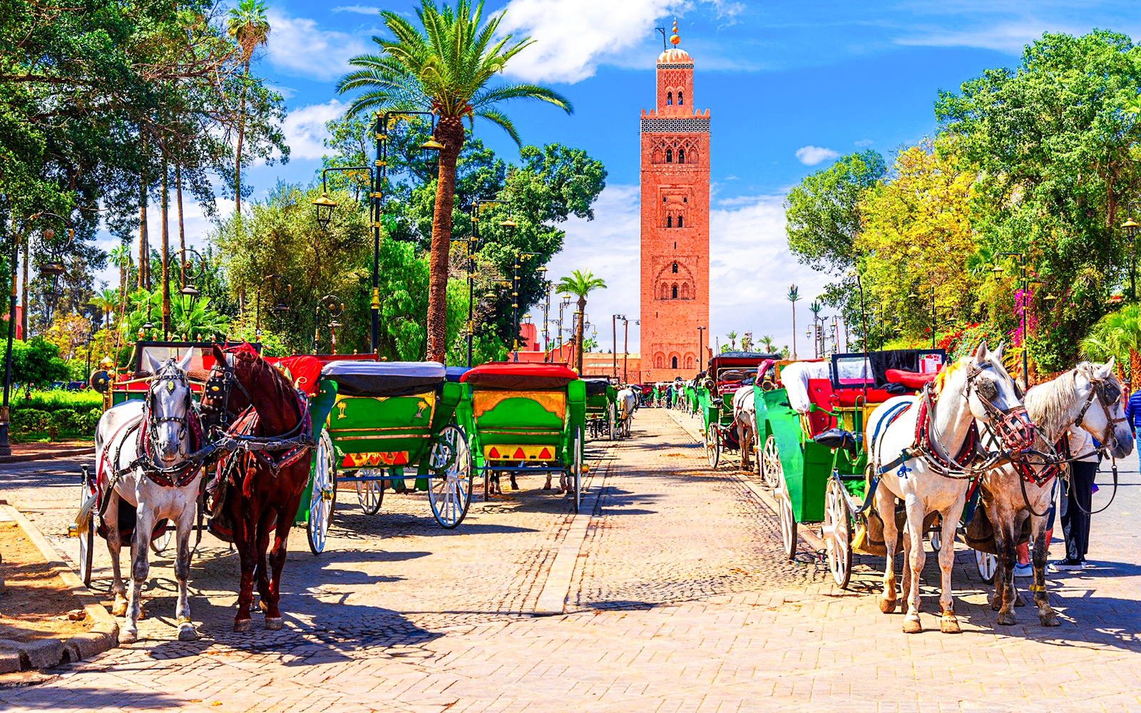 Horse-drawn carriages near Koutoubia Mosque in Marrakesh, Morocco.