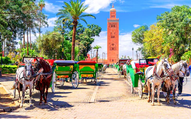 Horse-drawn carriages near Koutoubia Mosque in Marrakesh, Morocco.
