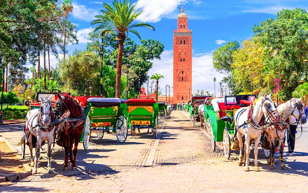 Horse-drawn carriages near Koutoubia Mosque in Marrakesh, Morocco.