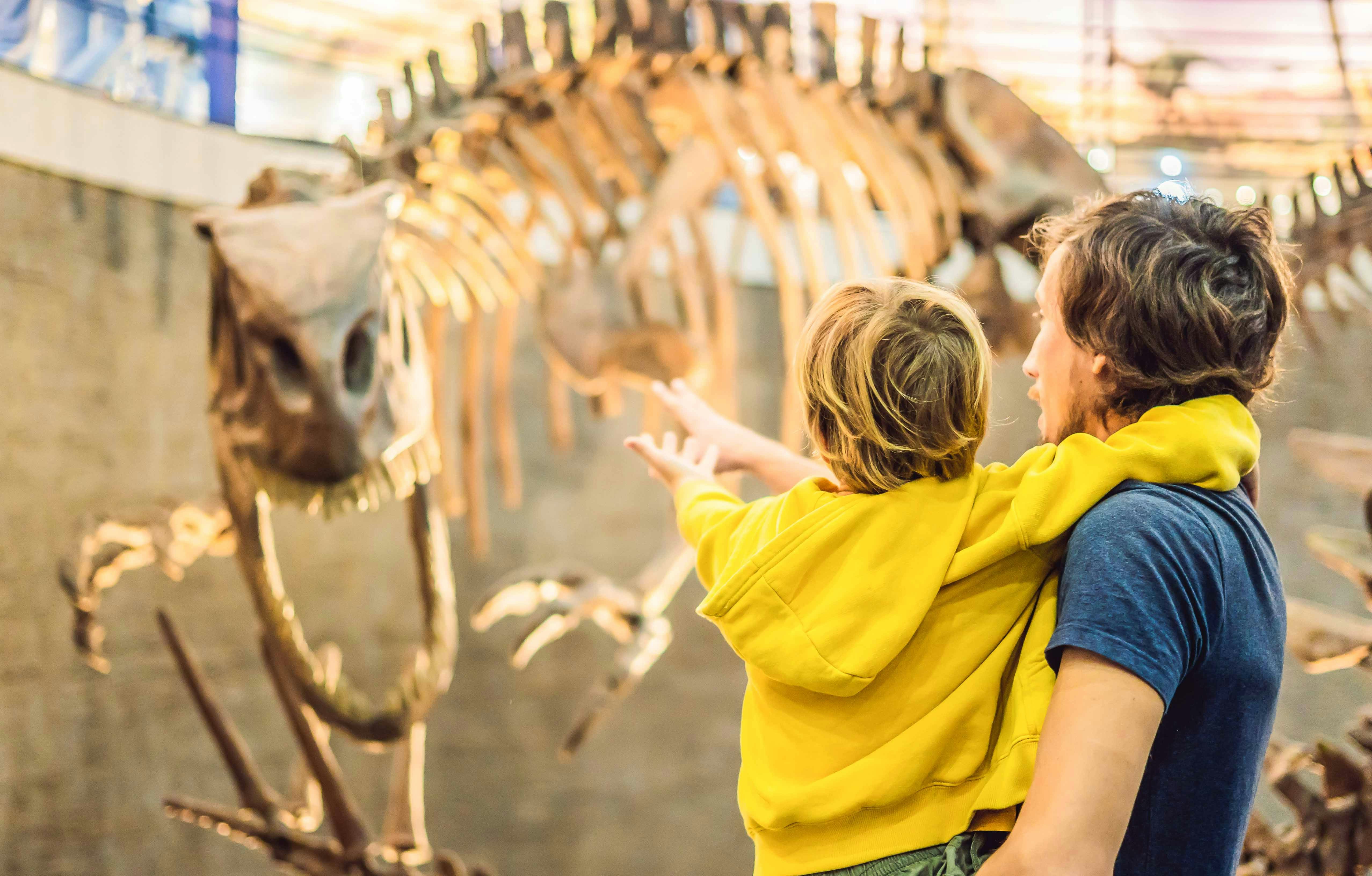 Verona Pass - Museo di Storia Naturale