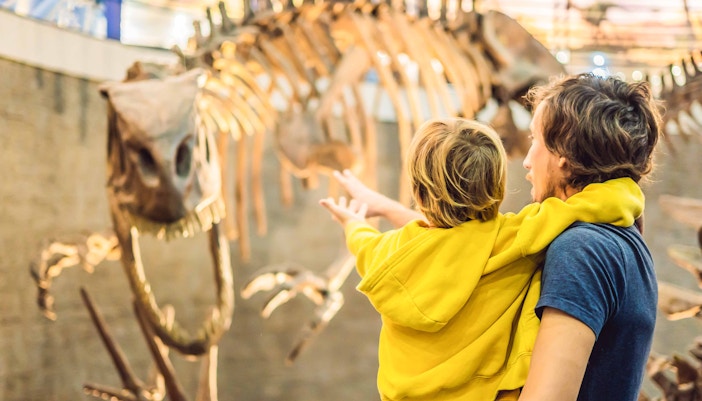 Verona Card kaufen - Museo di Storia Naturale