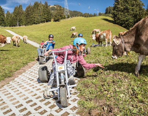 Grindelwald First Mountain Cart ride with scenic alpine views in Switzerland.