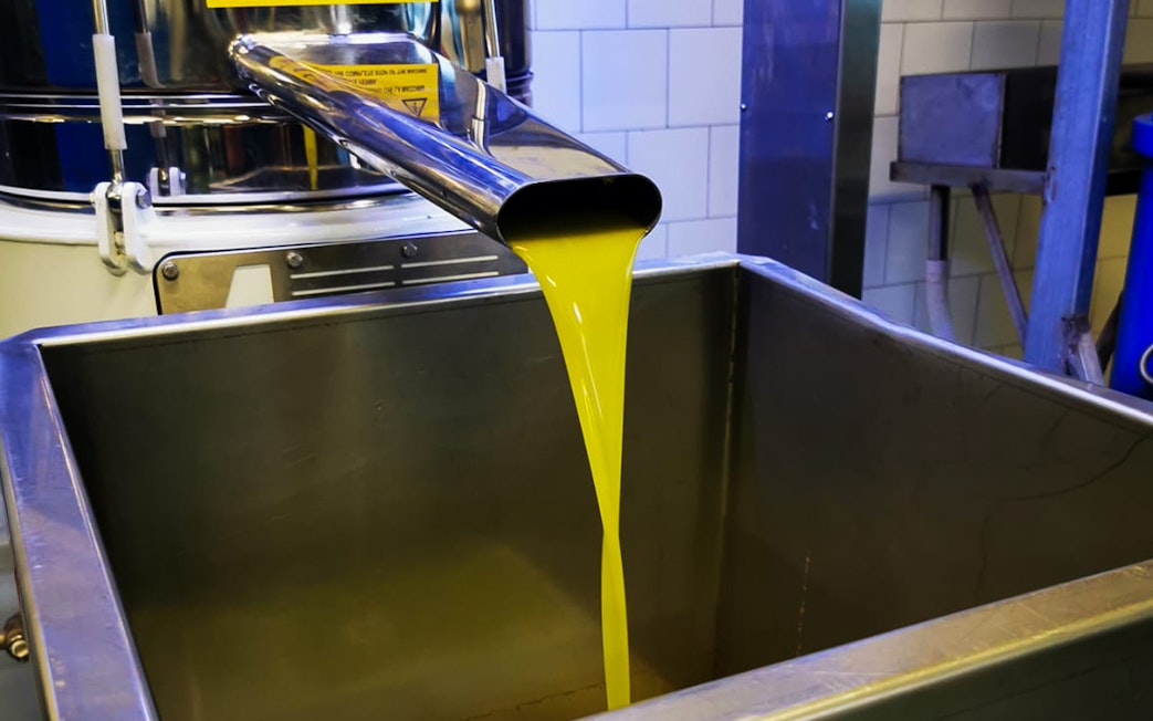 Olive oil flowing into a container during a Mount Etna tour with wine and olive oil tasting.