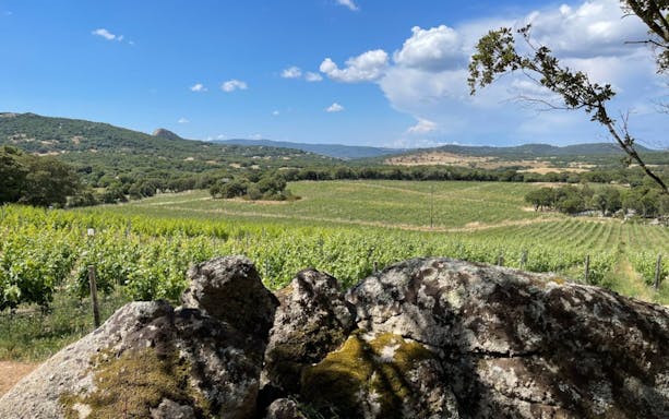 visita guiada a la bodega olbia gallura con degustación de 3 vinos locales y aperitivos sardos-5