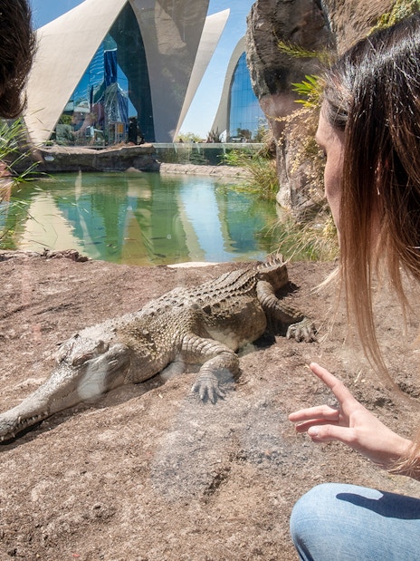 Visitors observing a crocodile at Oceanogràfic Valencia with modern architecture in the background.