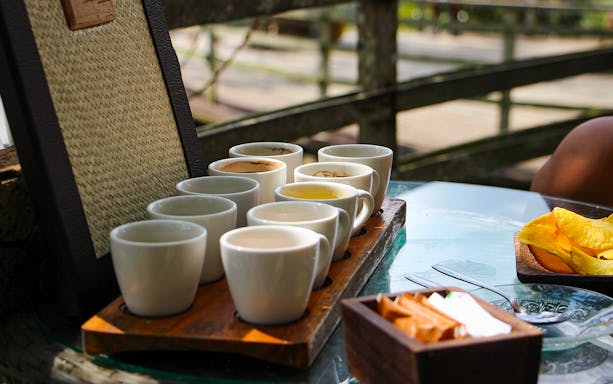 Assorted coffee cups on a wooden tray at a café near Mount Batur, Bali.