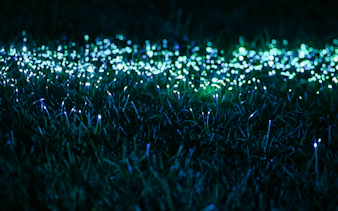 „serralves in light 2026“ – tickets-10
