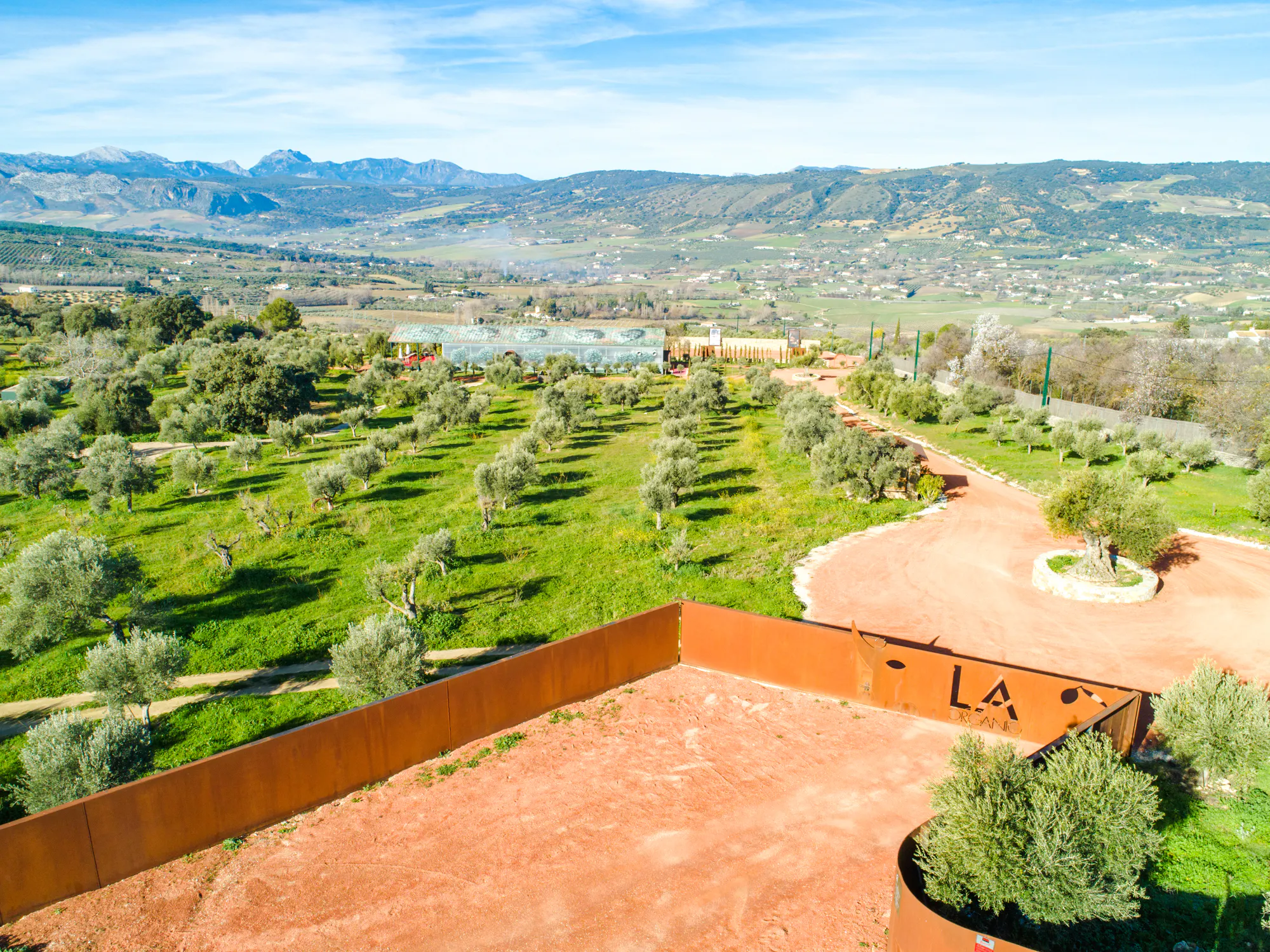 Malaga Olive Oil Museum & Farm Guided Tour with Organic Tasting Image 4