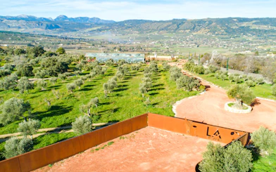 Malaga Olive Oil Museum & Farm Guided Tour with Organic Tasting