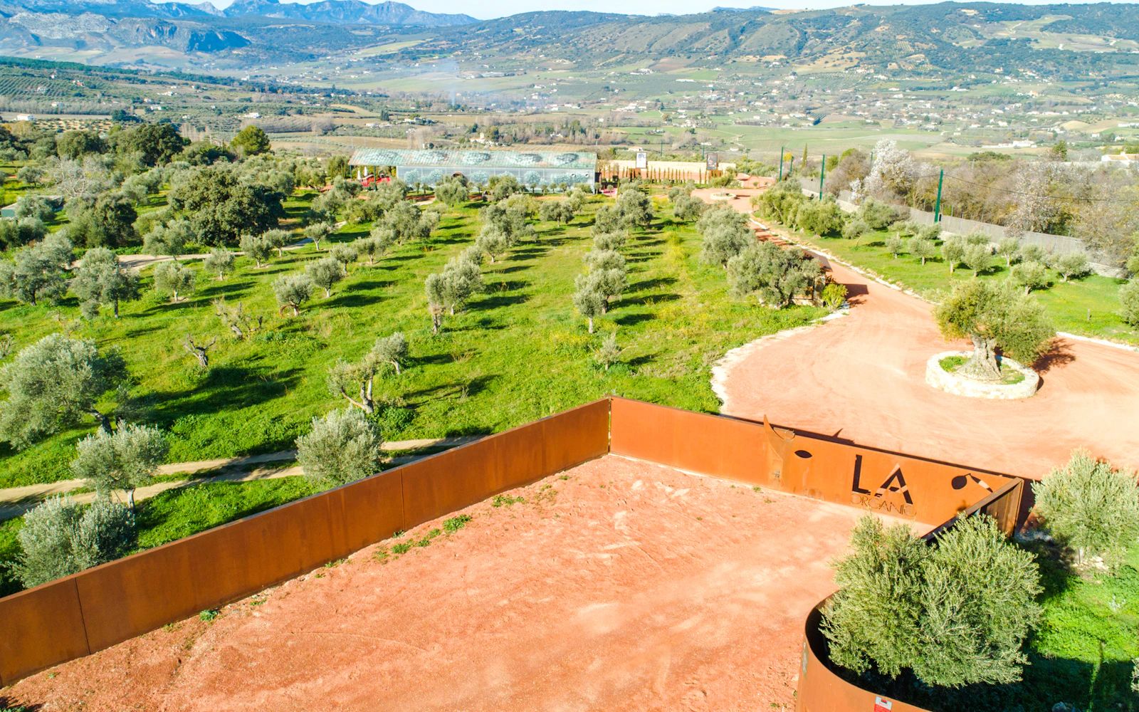 Malaga Olive Oil Museum & Farm Guided Tour with Organic Tasting Image 4