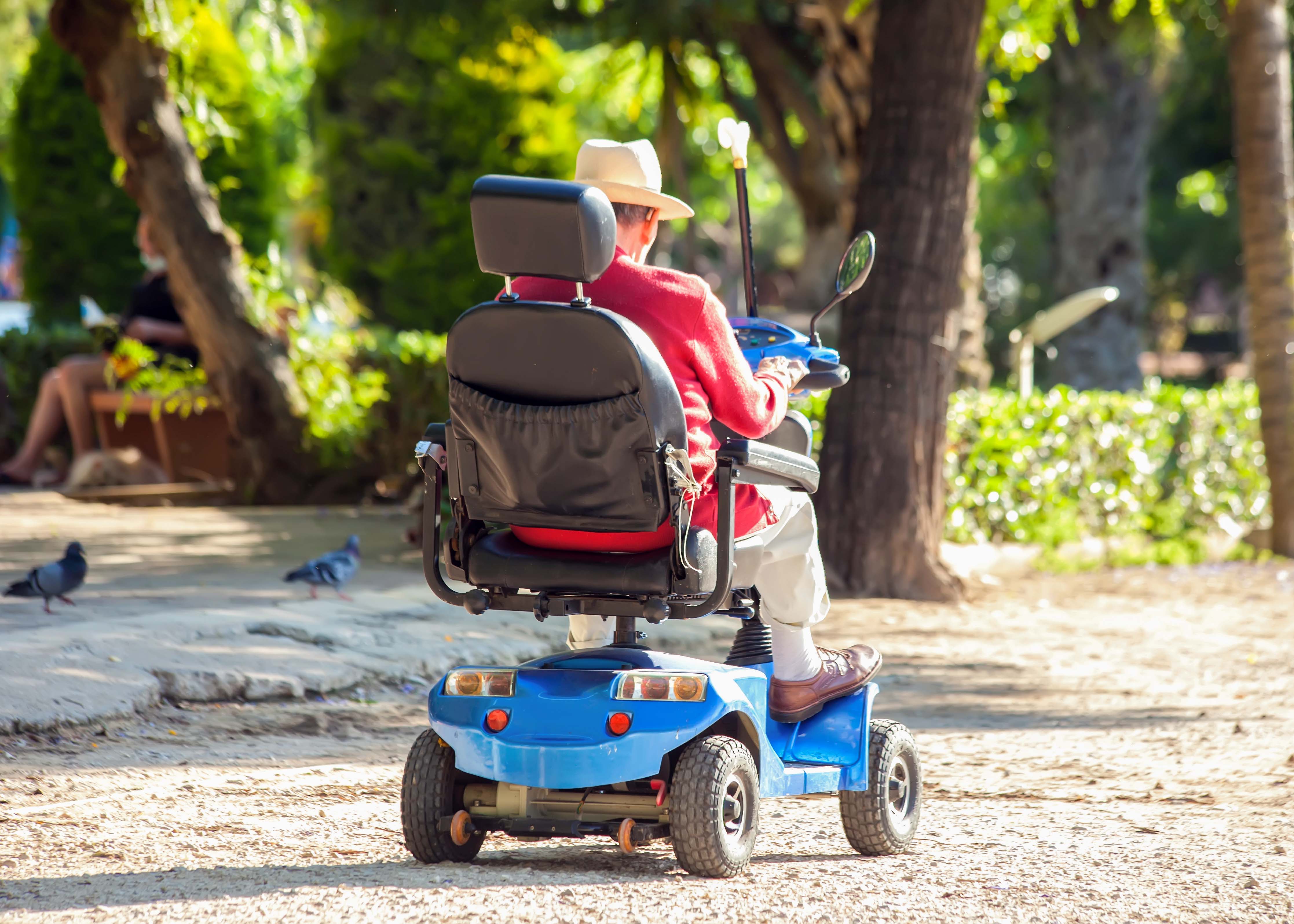 Electric wheelchairs in Keukenhof Gardens, Netherlands, with vibrant tulip displays.