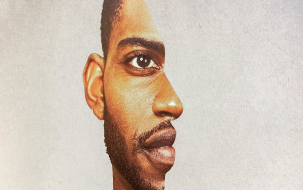 Optical illusion of a man's face at Museum of Illusions Genoa.