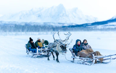 Reindeer Sledding & Sami Culture Guided Tour with Hot Drinks & Meal