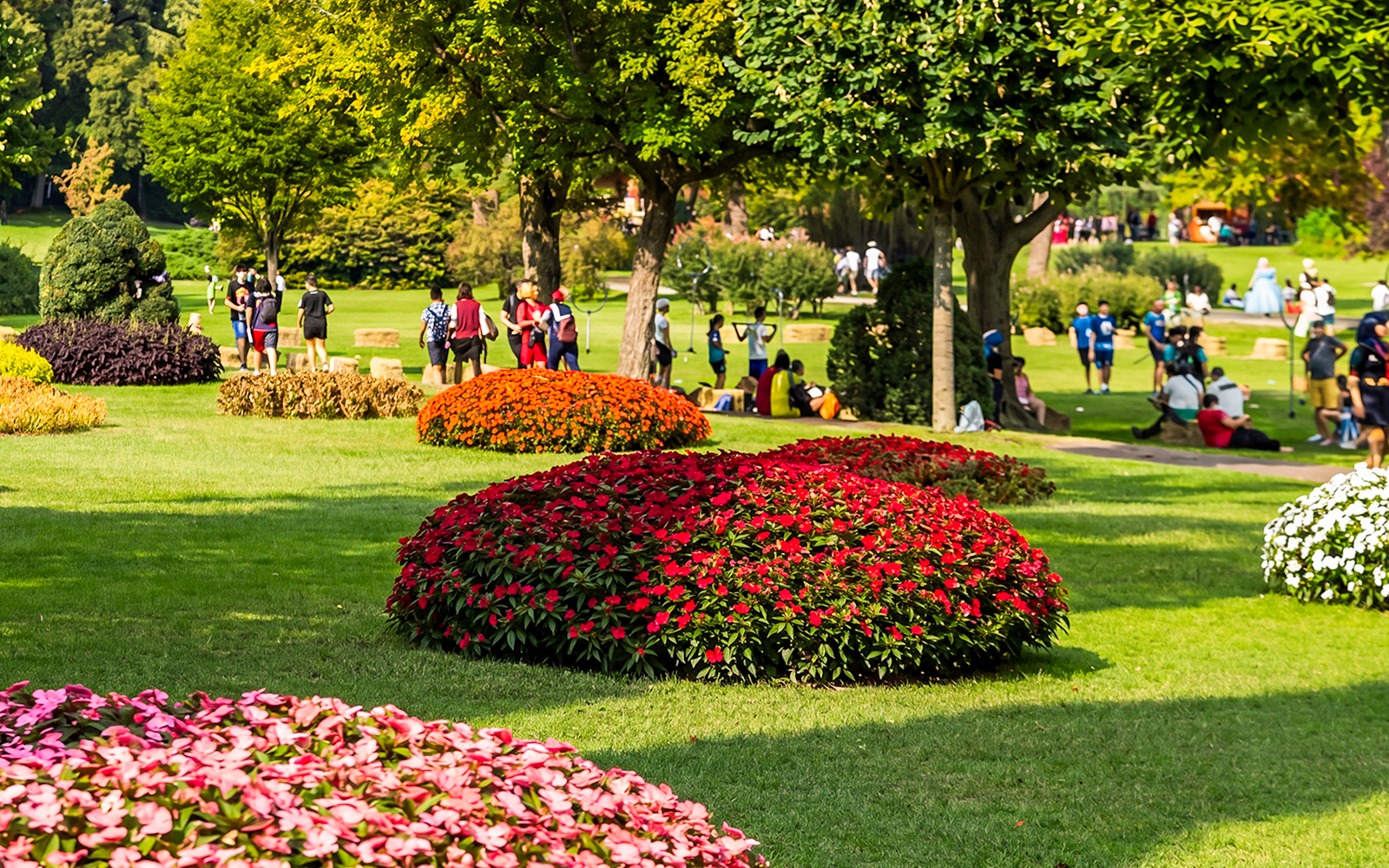 Roses and visitors in Parco Giardino Sigurtà garden, Italy.