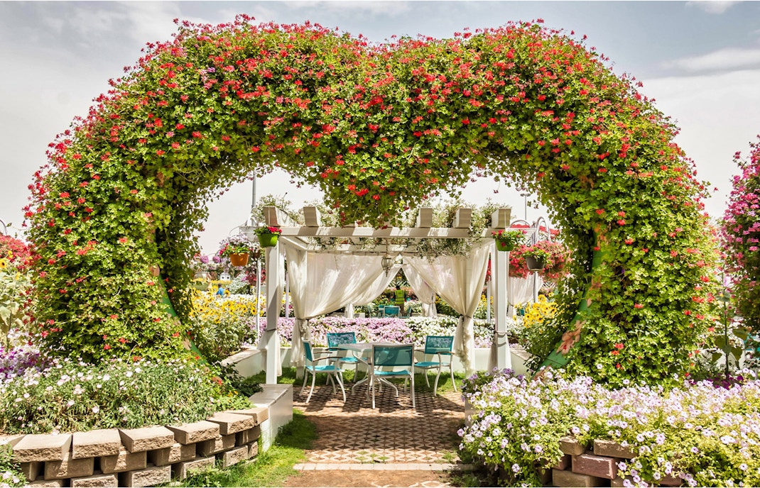 Miracle garden Rules