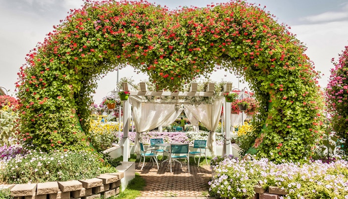 flower garden dubai
