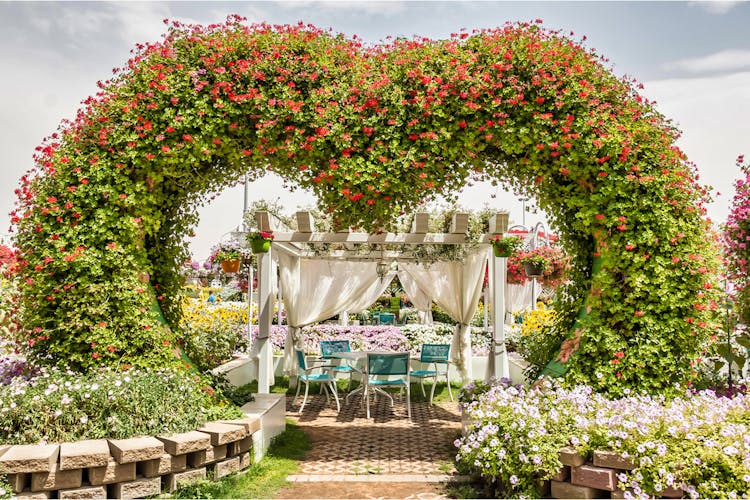 Dubai Miracle Garden vibrant floral archway with colorful blooms
