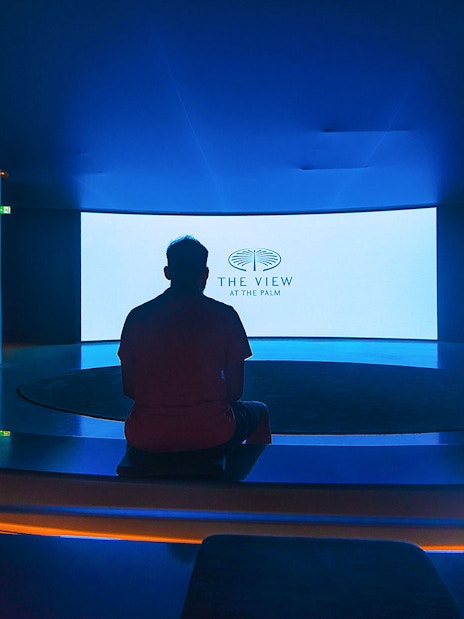 Visitors seated in a dark room facing a screen displaying "The View At The Palm" logo.