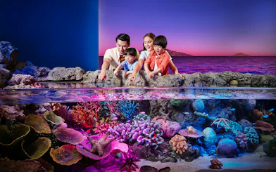 Tourists exploring vibrant rock pools at Sea Life Bangkok.