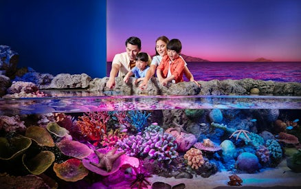 Tourists exploring vibrant rock pools at Sea Life Bangkok.