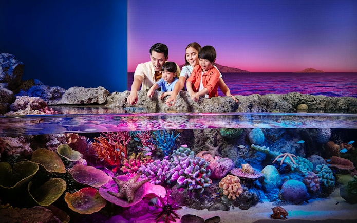Tourists exploring vibrant rock pools at Sea Life Bangkok.