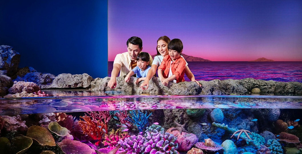 Tourists exploring vibrant rock pools at Sea Life Bangkok.