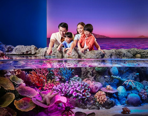 Tourists exploring vibrant rock pools at Sea Life Bangkok.