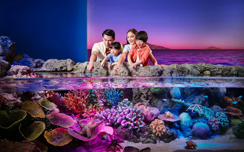 Tourists exploring vibrant rock pools at Sea Life Bangkok.