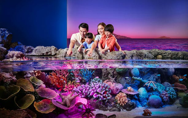 Tourists exploring vibrant rock pools at Sea Life Bangkok.