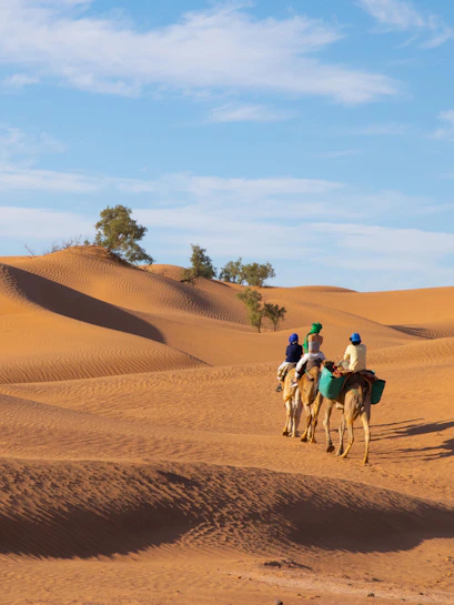 Camel caravan crossing Sahara Desert dunes en route to Timbuktu.