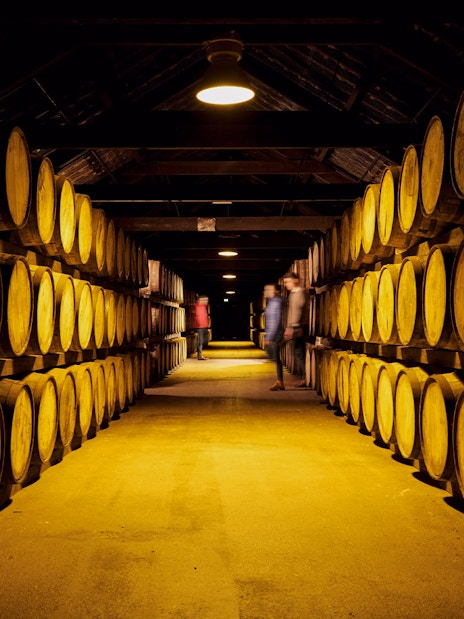 Barrels aging whiskey in Midleton Distillery maturation warehouse, Ireland.